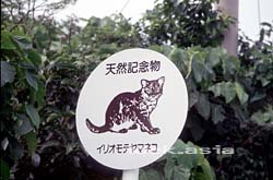 Signboard of Iriomote wild cat