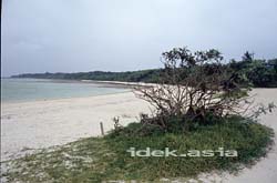 Kondoi beach