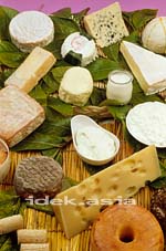 各種チーズのイメージ