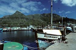 Hout Bay Harbour-ハウトベイハーバー 南アフリカ ケープタウン