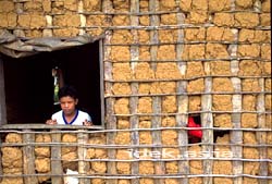 Manaus and Amazon(Brasil)土でできた壁に開いた窓から外を見る子供