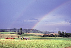 爽やかな農地と虹