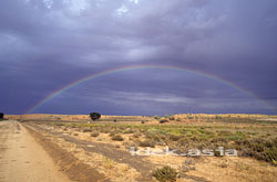 Kalahari カラハリの虹 南部アフリカ