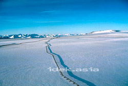 雪原を進む天然ガスパイプライン