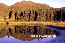 デナリ国立公園 アラスカ州 アメリカ