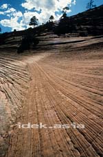 ザイオン国立公園 ナバホの砂岩 ユタ州 アメリカ Zion National Park