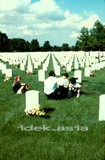 アメリカ ミネアポリス ミネソタ 35歳の父と3,6,9歳の子供たち、戦没将兵記念日、墓地にて