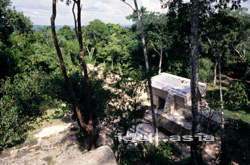 マヤ遺跡・マヤ文明-グァテマラ-ティカル遺跡