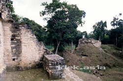 マヤ遺跡・マヤ文明-グァテマラ-ティカル遺跡