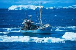 漁船 グリーンランド