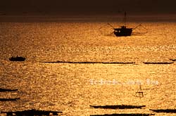 SOUTH CHAINA SEAS 南シナ海 漁の風景
