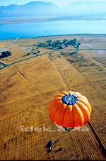 南アフリカ 畑の中の気球