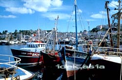 ブリックハム Brixham ブリックスハム デヴォン州 イギリス トロール船