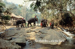 CHIANG MAI タイ チェンマイ