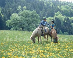 父が子に乗馬を教える